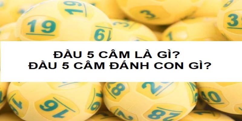 Lô đầu câm là gì?