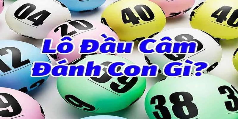 Giới thiệu khái quát đầu câm nghĩa là gì?